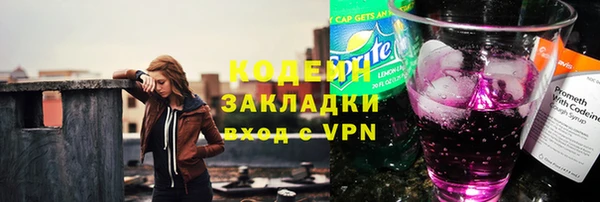 шишки Кодинск