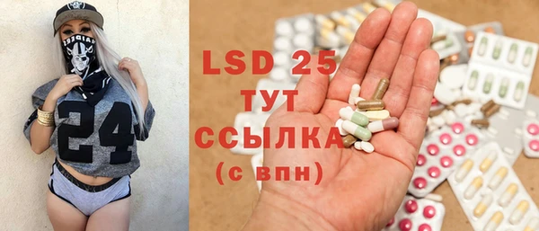 шишки Кодинск