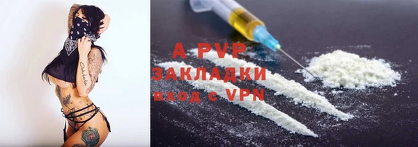 шишки Кодинск