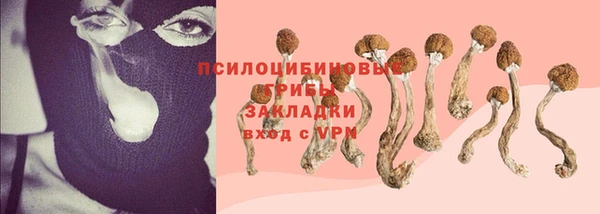 mdpv Козловка