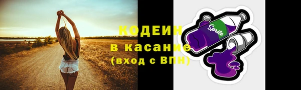 шишки Кодинск