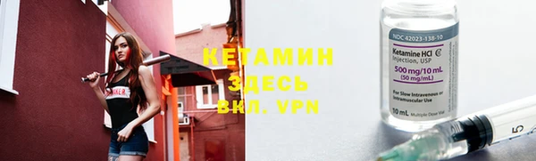 шишки Кодинск