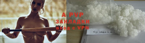 шишки Кодинск