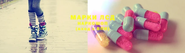 шишки Кодинск