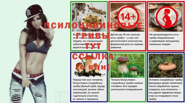 мяу мяу мука Козельск