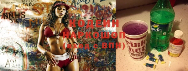 шишки Кодинск