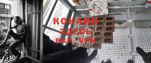 мяу мяу мука Козельск