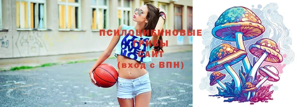 mdpv Козловка