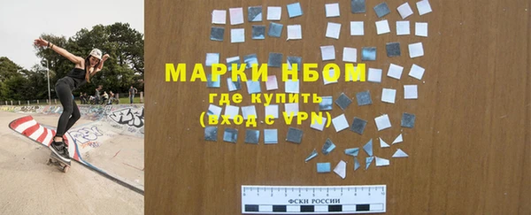 шишки Кодинск
