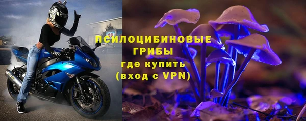 мяу мяу мука Козельск